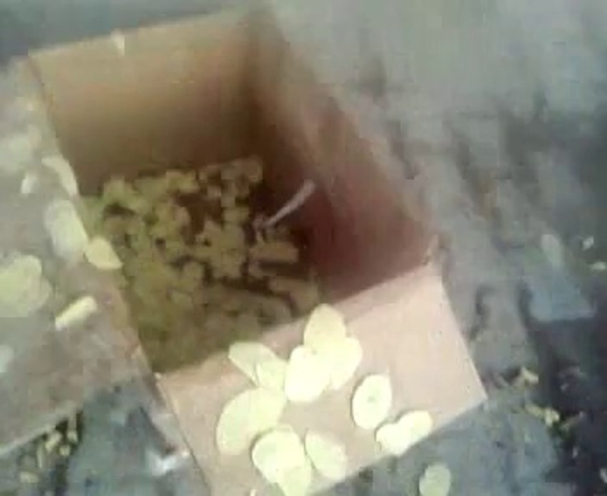 patates cipsi makina patates doğrama makinası meyve doğrama makinası hatay makina sanayi