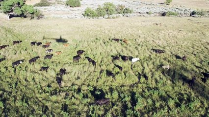 Danny Way Smashes The Big Air World Record With A Ridiculous 25.5ft Jump