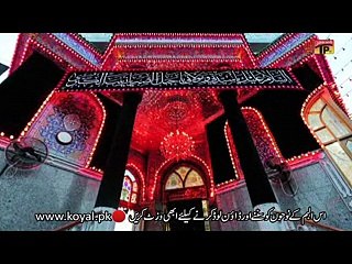 Zainab Ko Ghazi - Dr Ali Abbas Rizvi - Official Video