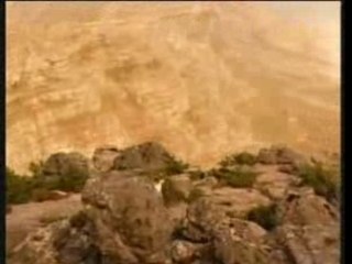 Tina Turner - On silent wings (1996)