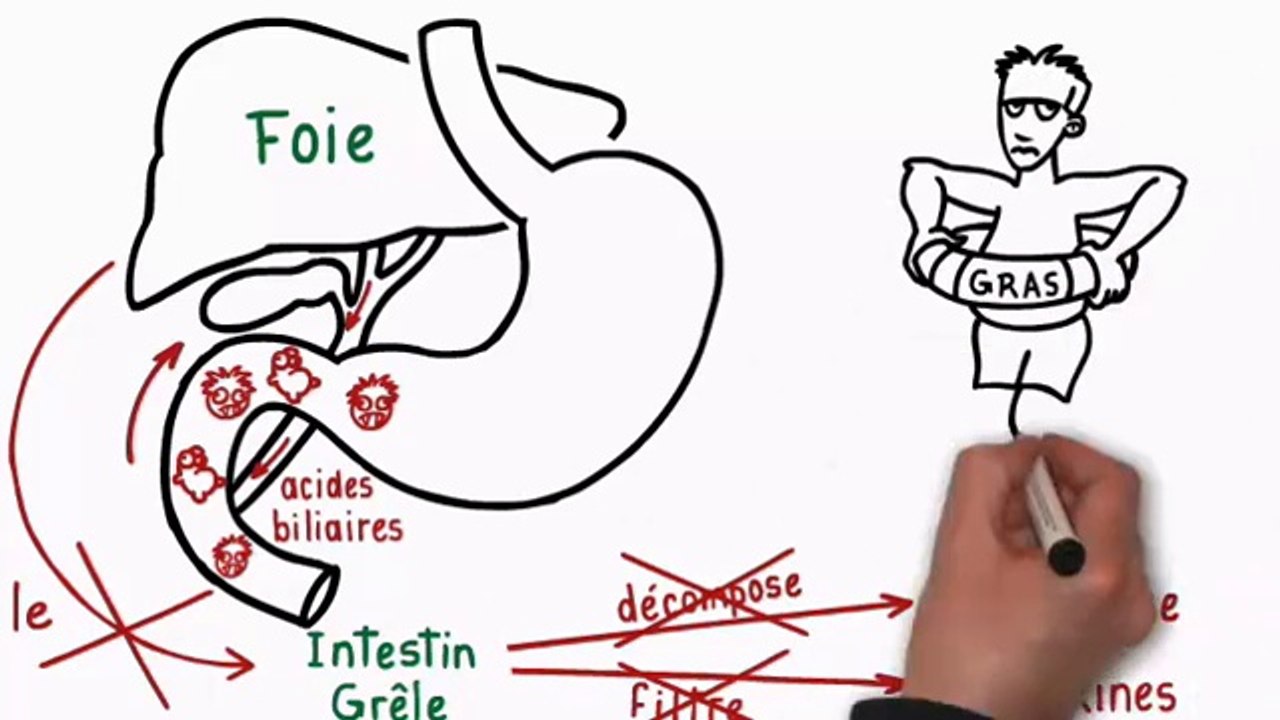 Perdre Du Poid Rapidement - Les Clés de la Minceur, Dr. Charles