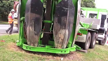 Ecologie : voici comment déplacer un arbre plutôt que de le raser