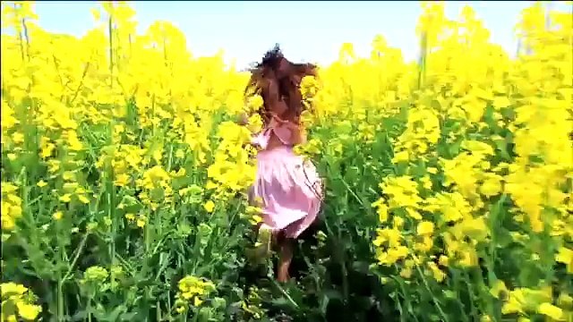 Serdar Ortaç - Dedin Yok HD