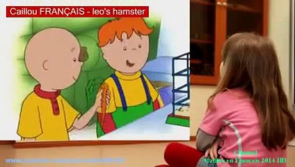 Caillou FRANÇAIS - Le hamster de Léo (S02E13) - Video Dailymotion