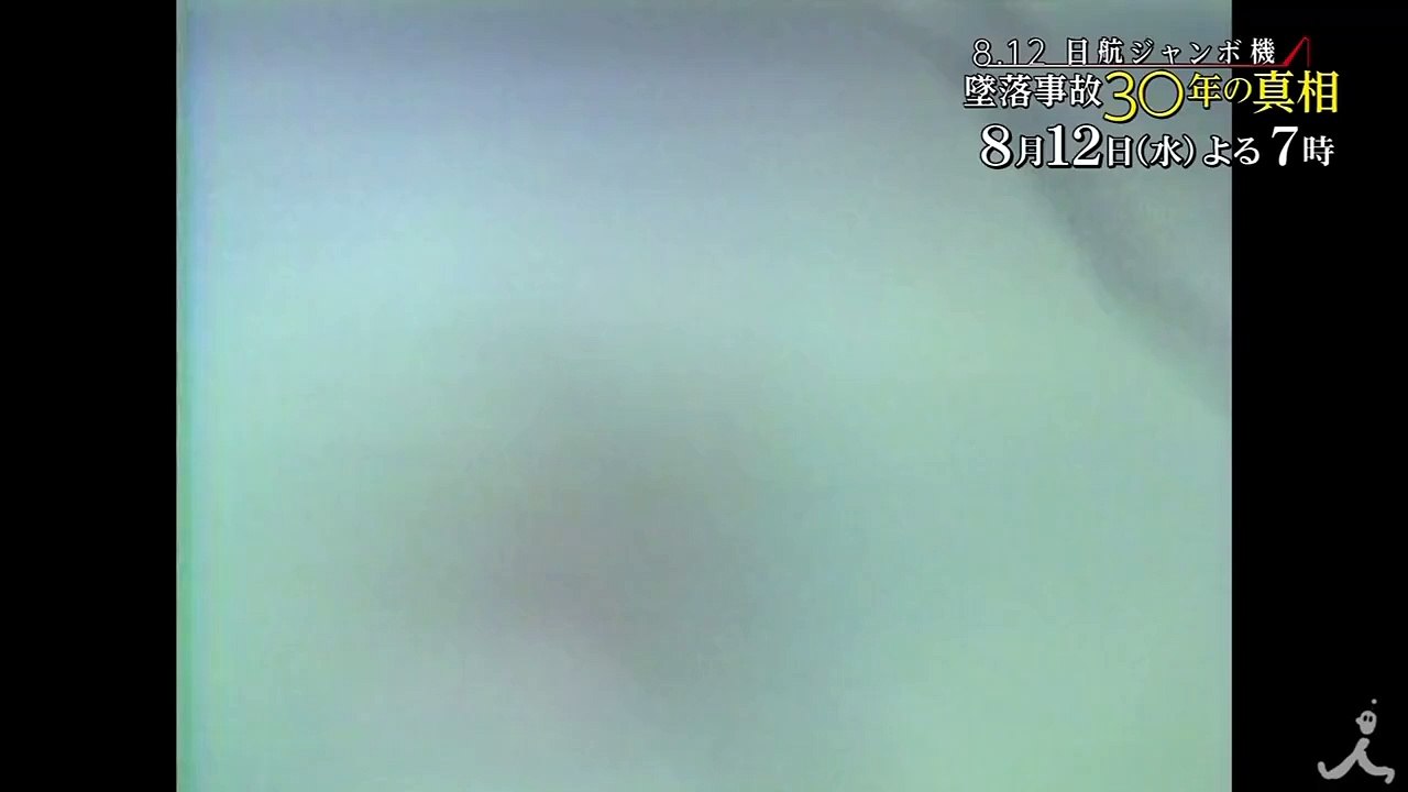 生存者 川上慶子さんの兄が語る妹と事故 8/12（水）『8.12日航ジャ��