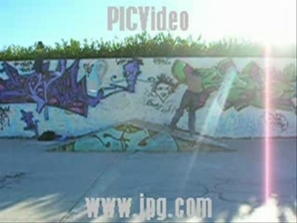 Skate seb