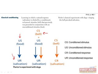Psychiatry Psychology