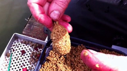 Dick and Micks match fishing series IN THE SEARCH FOR GOLD! Part 1