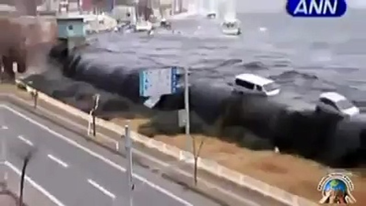 reality of this world   great video dailymotion