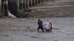 Des touristes coincés dans la boue, sauvés par un Thaïlandais