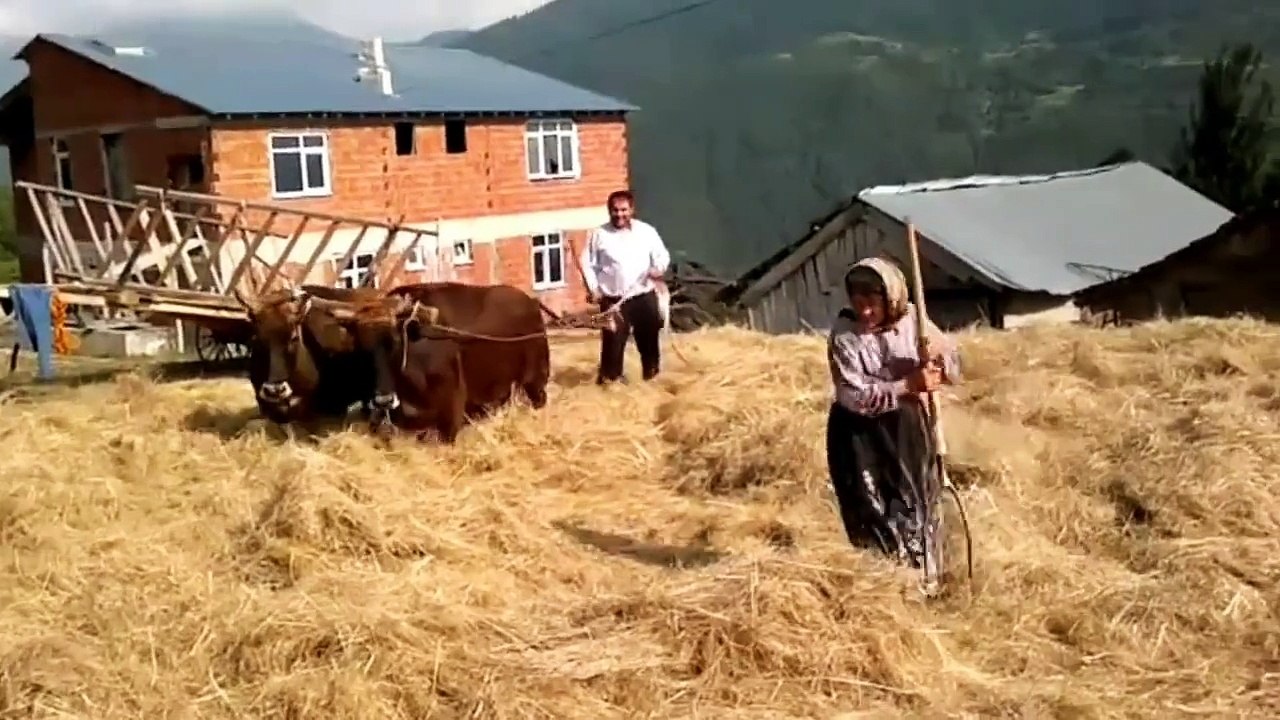 Düven Sürme Acemi Düvenci