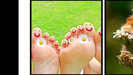 SON SOURIRE clip Cheval Domi