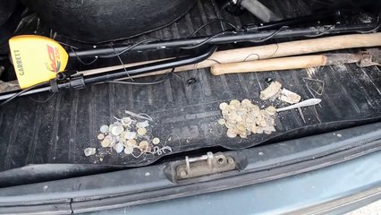 поиск золота на пляже (search for gold on the beach)