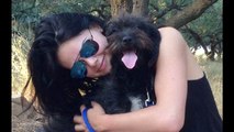 This Woman Flew 6000 Miles To Bring Home A Stray Dog