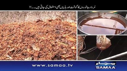 Gadhay kay gosht se tail tayar - Mein Hoon Kaun, 17 Oct 2015