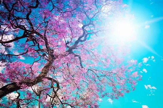 ALLAH(S.W.T) ki haibat job dil mai ati hai..-by Peer Zulfiqar sahb..