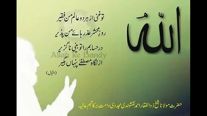 Poetry..by Peer Zulfiqar sahb..