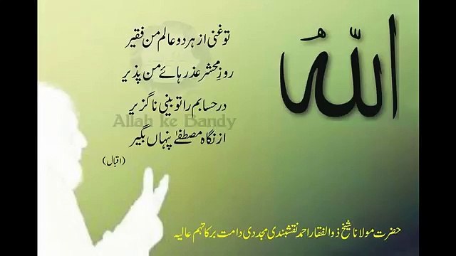 Poetry..by Peer Zulfiqar sahb..