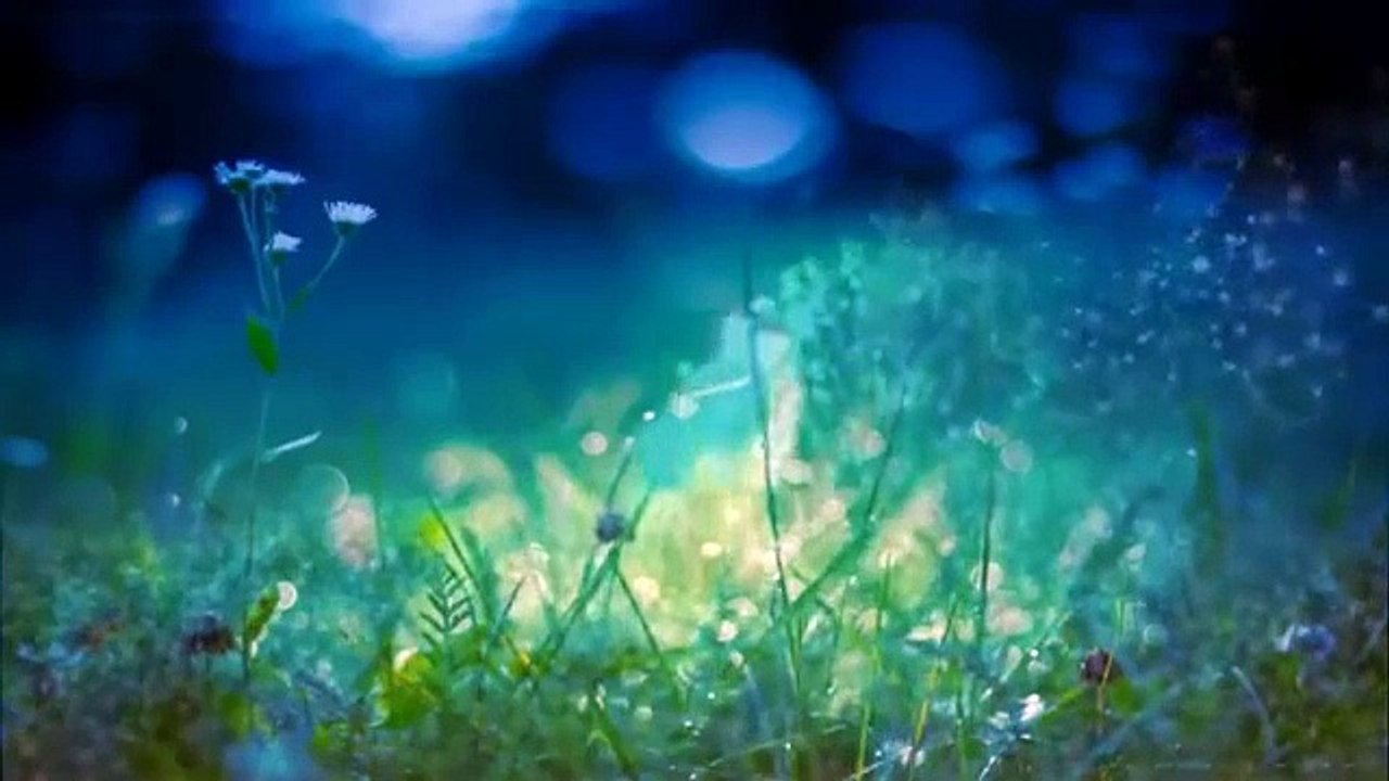Gafeel insan fikar kar apni..-by Peer Zulfiqar sahb...