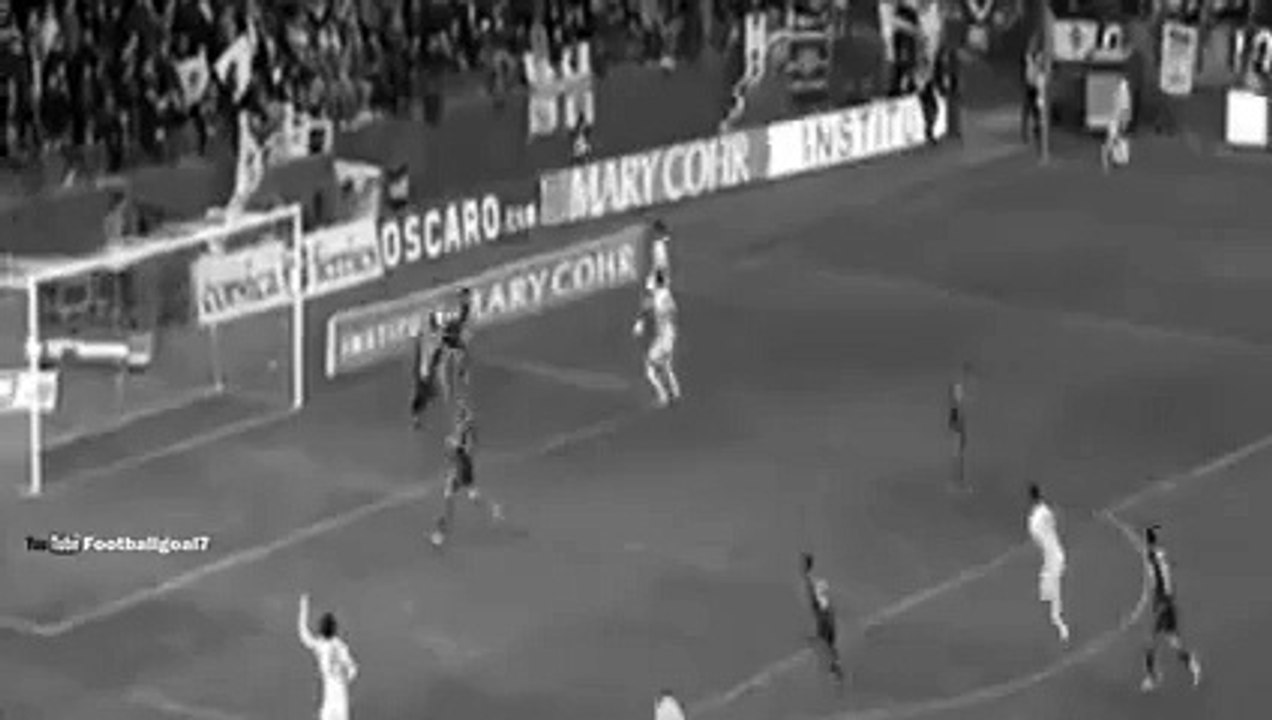 Zlatan Ibrahimovic Goal - Bastia 0 - 1 PSG 17 October 2015