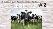 10 Cosas que Desconocías de la LECHE