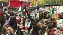 Manifestation pro-palestinienne à Paris : 