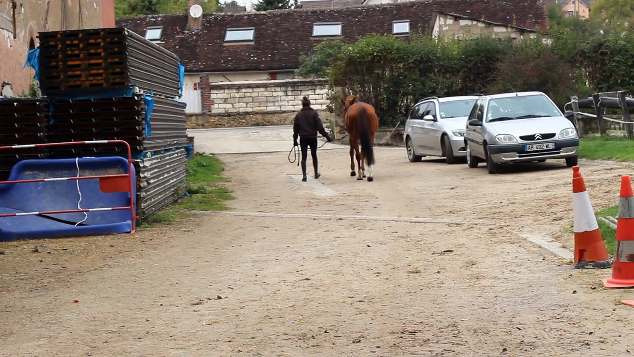 Gypsie postèrieur au pas