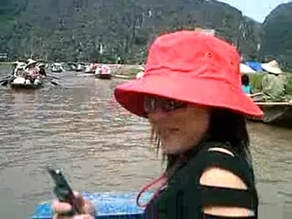 Hoa lu 9