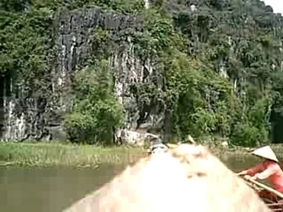 Hoa lu 14