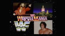 WWF Wrestlemania - John Studd Vs. Andre The Giant
