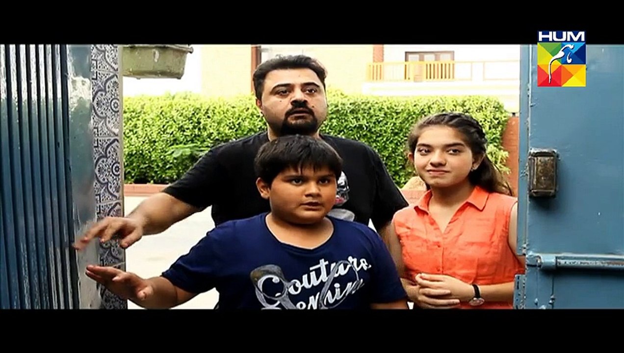 Mr Shamim Episode 31 HUM TV Drama 03 Oct 2015