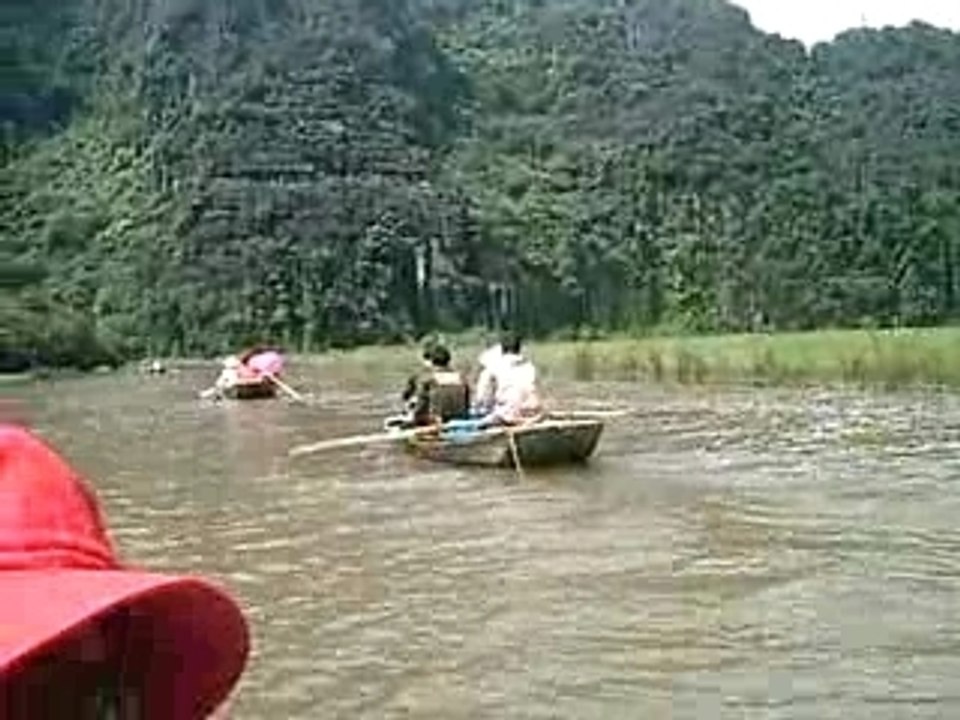 Hoa lu 21