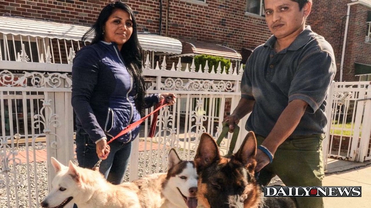 Luna's Back! Cops Find Siberian Husky Puppy After Robbery