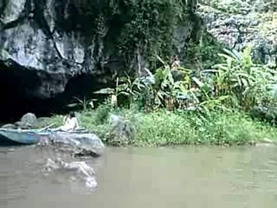 Hoa lu 24