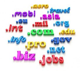 How to search new domain name