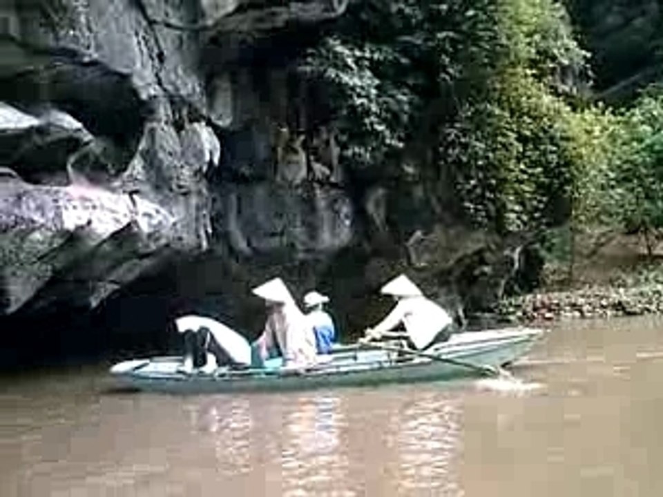 Hoa lu 26