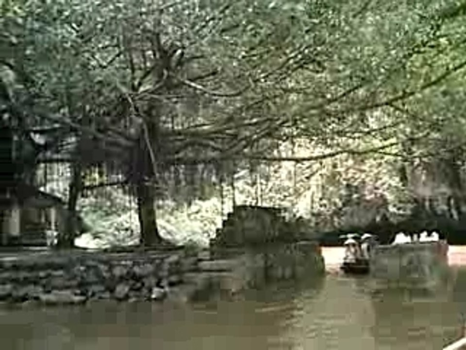 Hoa lu 29