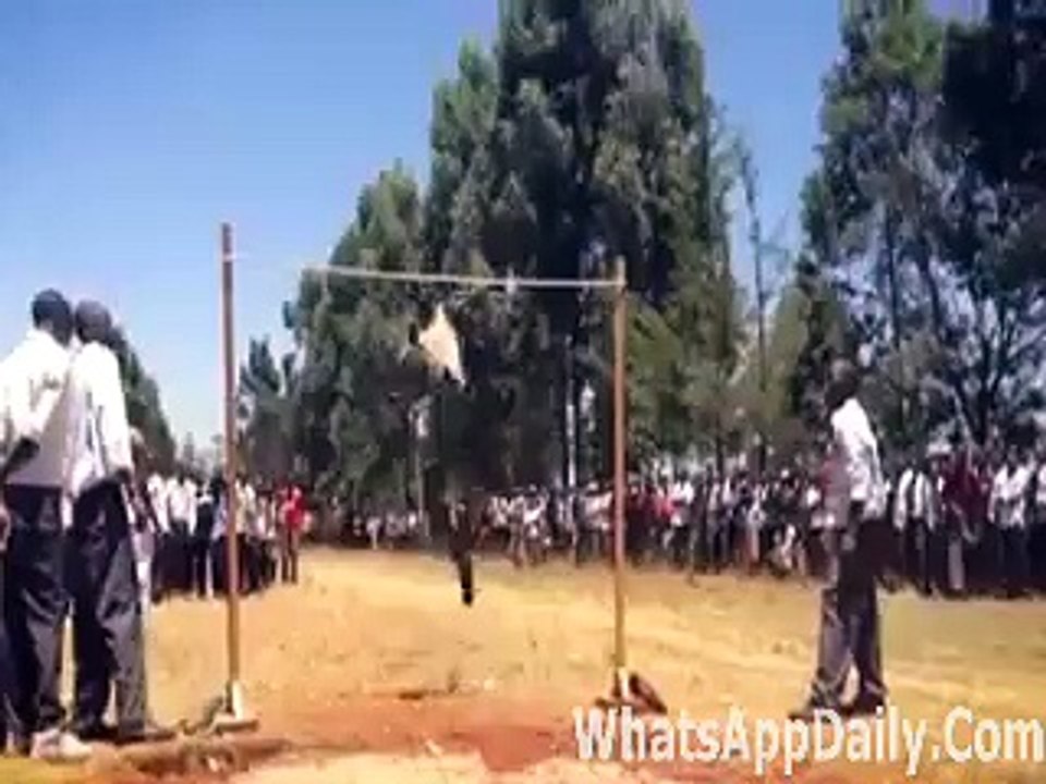 World Dangerous Stunts