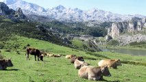 lagos de Covadonga, Enol y Ercina en el parque nacional de los Picos de Europa en Asturias