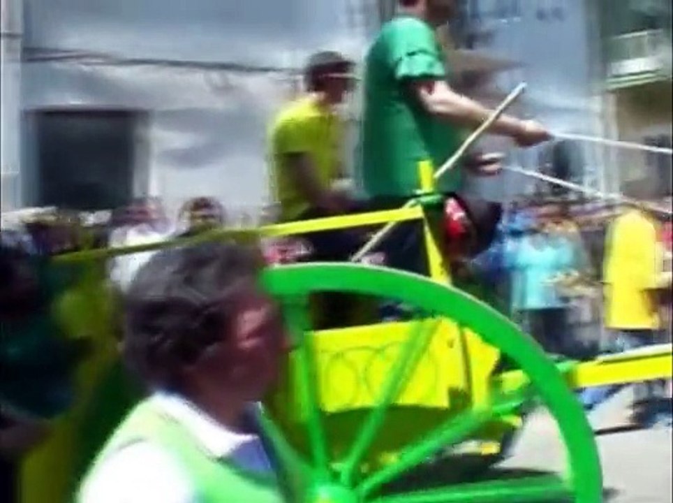 Oxen abuse during the traditional Race at Chieuti, Italy in St. George Festival