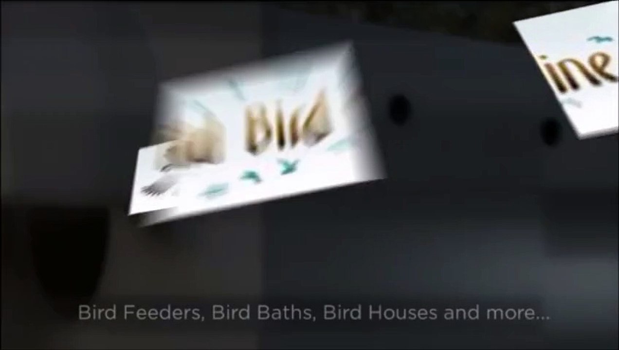 Wild Bird Store Online