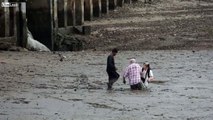 LiveLeak.com Thai Man Rescues Foreign Bird Photographer and his wife who got Stuck in Mud