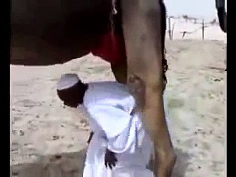 Мега Прикол С Верблюдом. Не Повторяйте )))