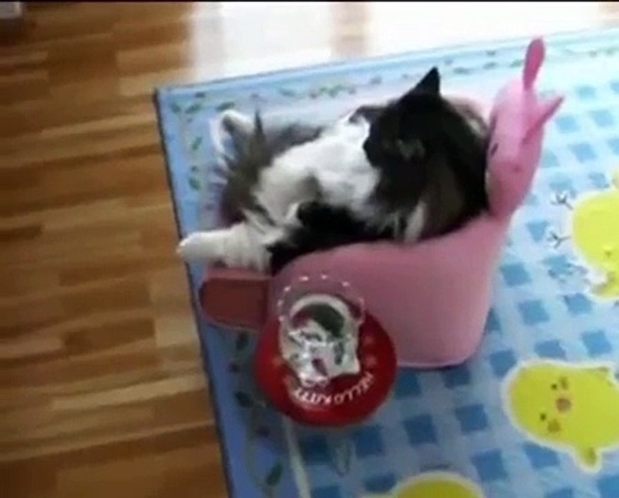 Я Хозяин и Это кресло Мое !