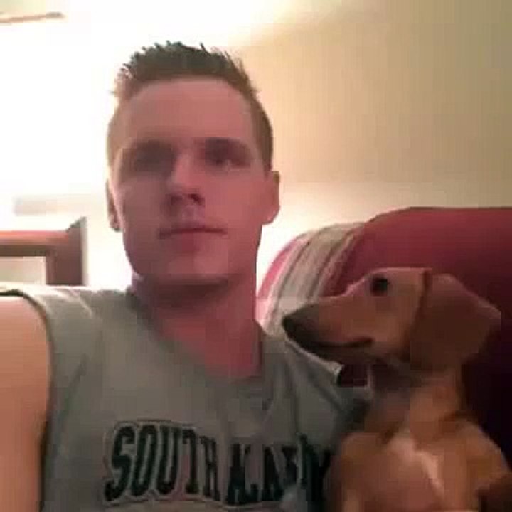 I'm Che I Nitsche. Funny dachshund