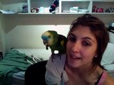 Amazon in the classroom Spanish. She taught a parrot to speak and sing in Spanish
