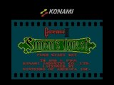 Castlevania II Simon's Quest Nintendo Nes Test 23