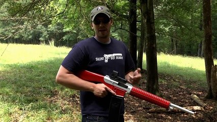 AR 15 STYLE 12 GAUGE!