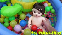 ぽぽちゃん おもちゃアニメ ワニさんカメさんとプール❤水遊び Toy