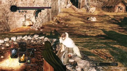 Dark_Souls2-Soluce-#29Bois_De_L'ombre_1